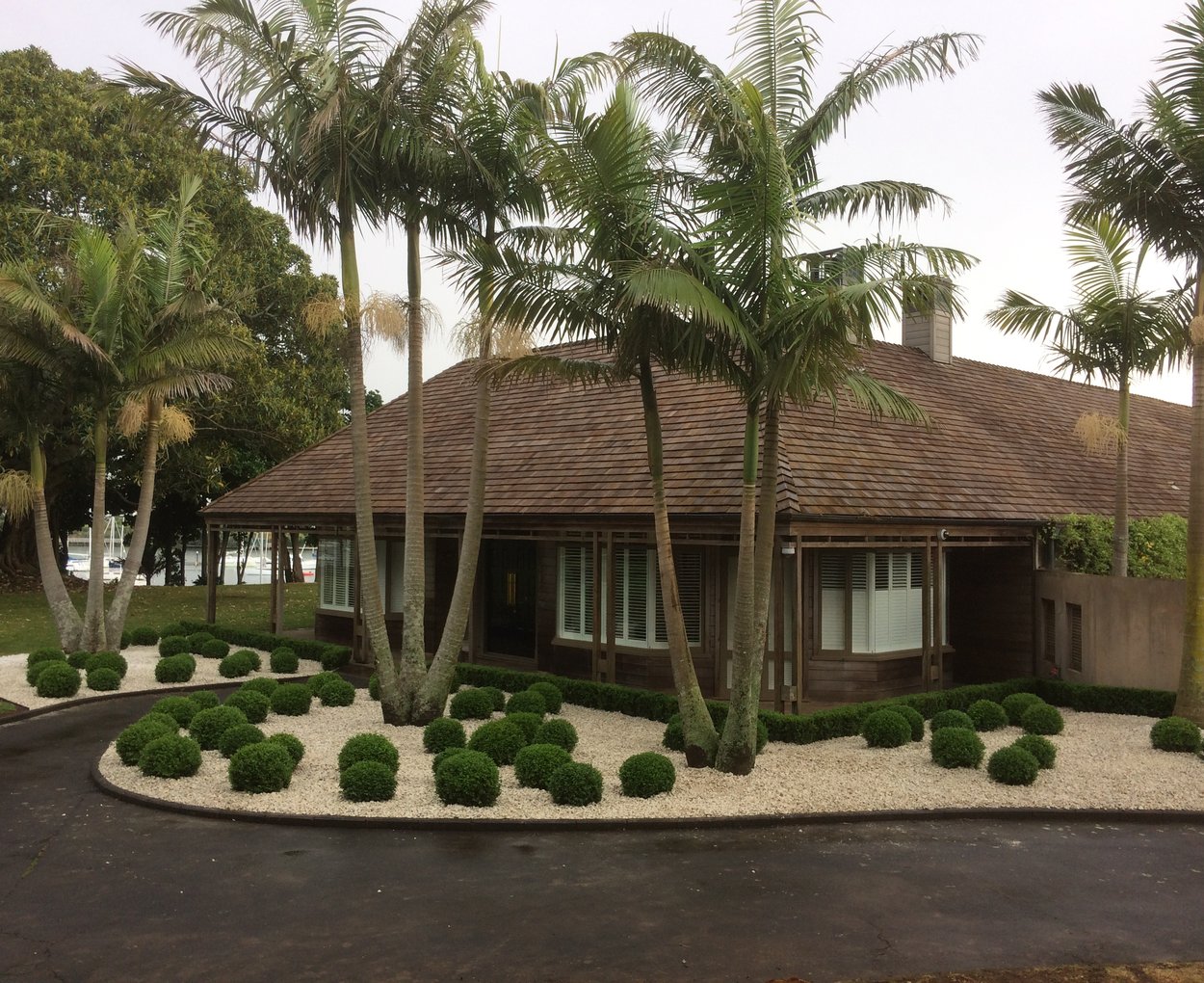 Large Auckland grounds — palm avenue, clipped topiary and gravel beds