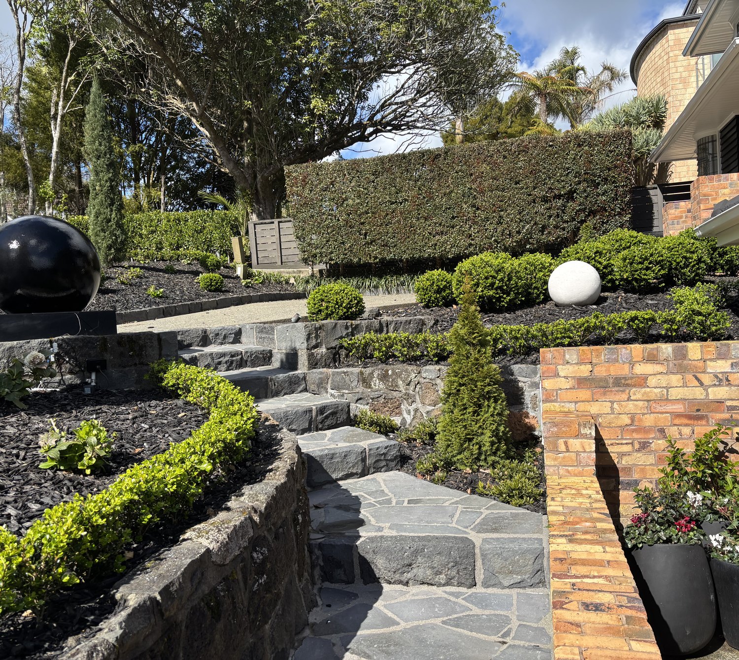 Terraced Auckland garden with stone steps, clipped hedging and schist retaining