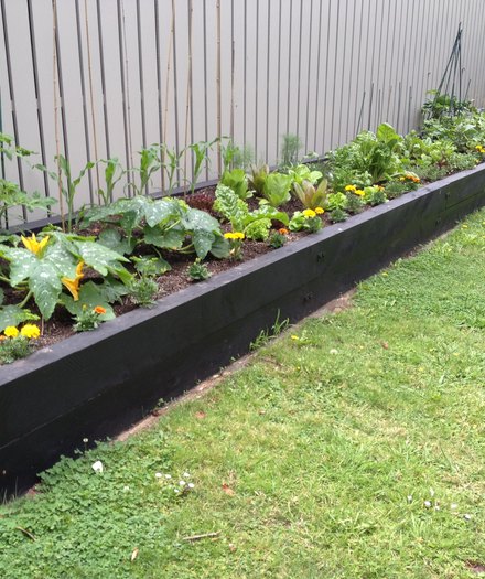 Raised vegetable bed in flower
