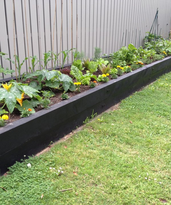 Raised vegetable bed in flower
